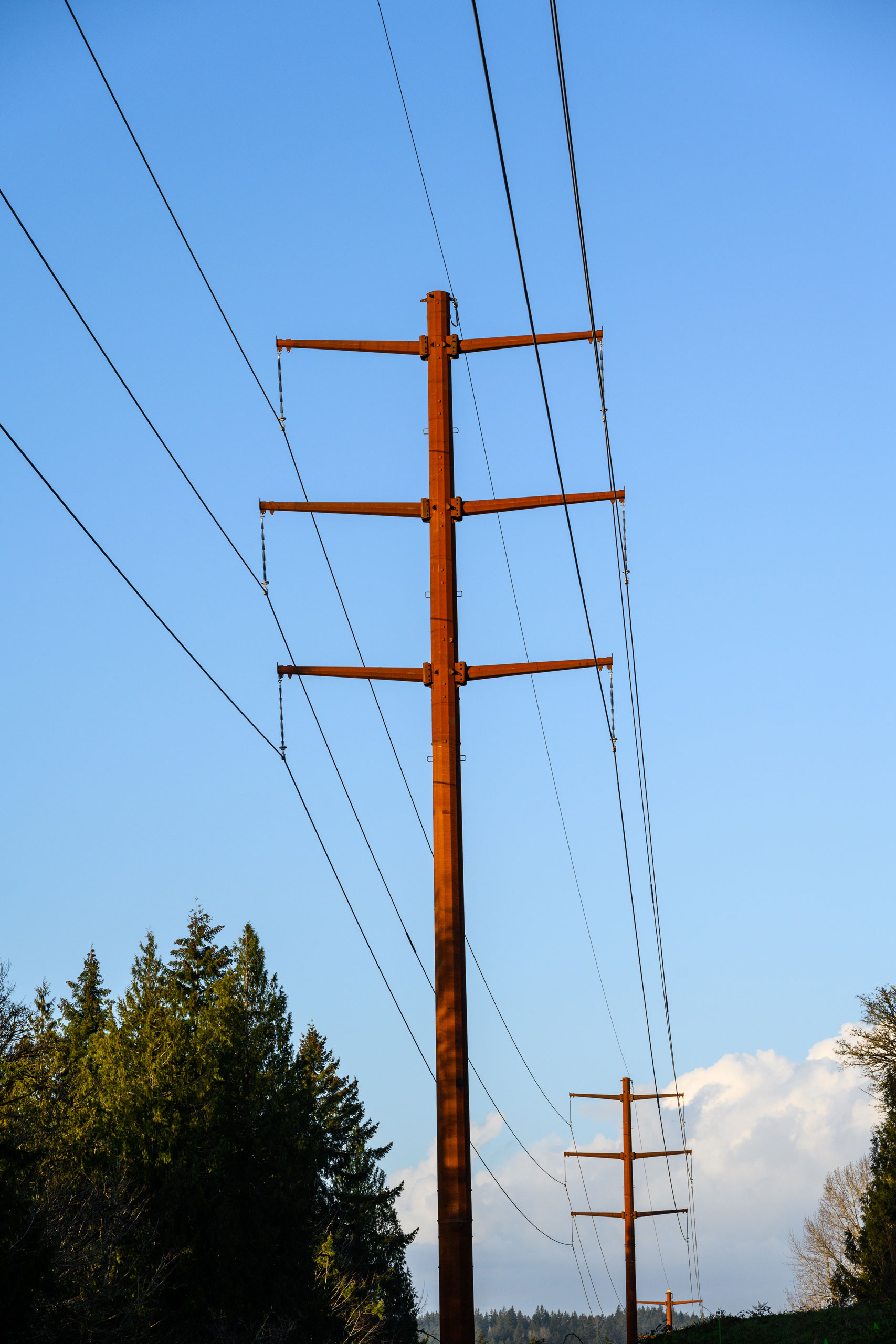 Transmission tower with electrical wires within a suburb