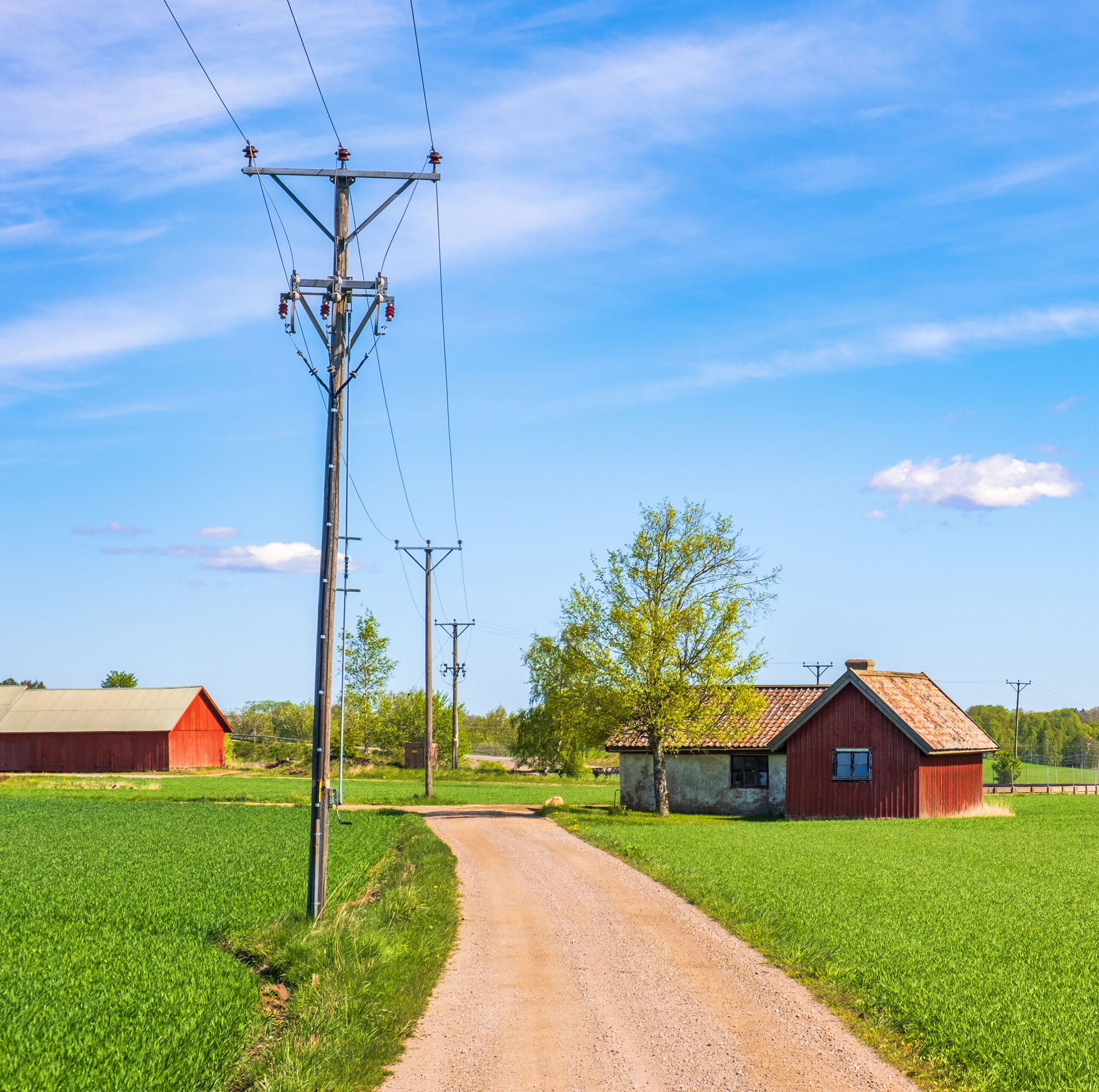 Dirt road with a power line at a cottage by green fields